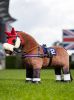 Picture of Le Mieux Toy Pony Racing Cloth & Elastane Hood