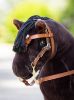 Picture of Le Mieux Toy Pony Western Bridle Tan