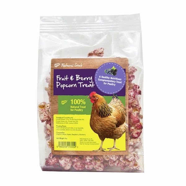 Picture of Natures Grub Fruit & Berry Popcorn Treat 20g