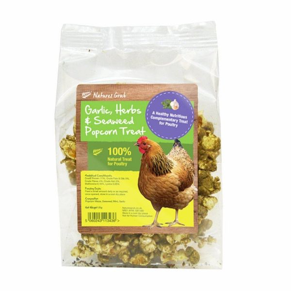 Picture of Natures Grub Garlic, Herb & Seaweed Popcorn Treat 20g