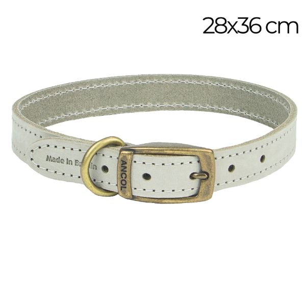 Ancol leather dog collar best sale