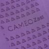 Picture of Cameo Junior Zest Riding Tights Purple Stars