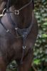 Picture of Cameo Equine Performance Elasticated Breastplate