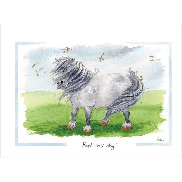 Picture of Alisons Animals Card Large - Bad Hair Day