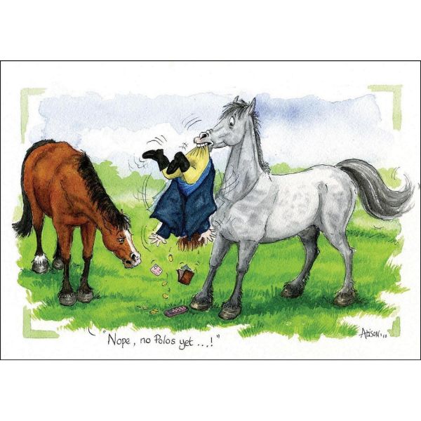 Picture of Alisons Animals Card Large - Nope No Polos