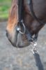 Picture of Shires Lunging Adapter Black One Size