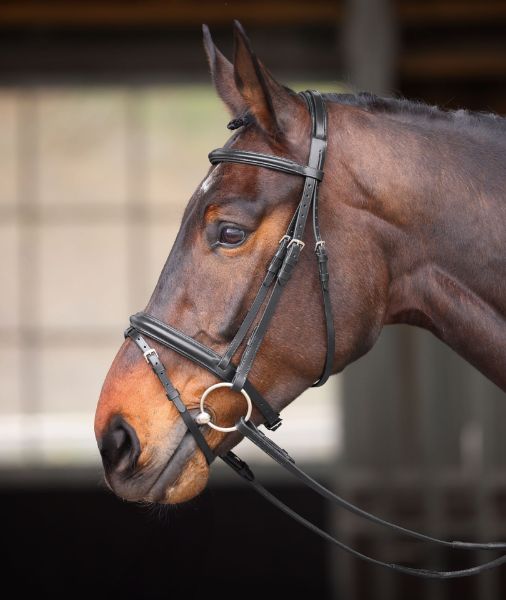 Picture of Shires Velociti GARA Comfort Fit Bridle Black