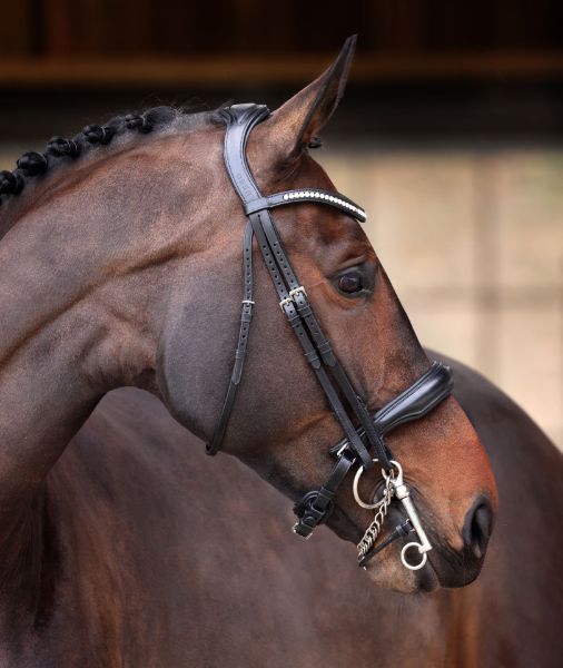 Picture of Shires Velociti Lusso Elite Double Bridle Black Full