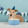 Picture of Scruffs Classic Food Bowl 19cm Blue