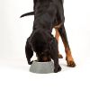 Picture of Scruffs Classic Long Eared Dog Bowl 21cm Grey