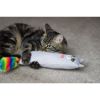 Picture of Moody Moggy Rainbow Cat Kicker