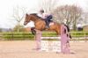 Picture of Hy Equestrian Elevate Denim Breeches Dark Blue