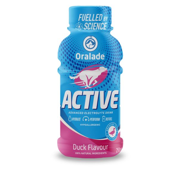 Picture of Oralade Active 250ml Duck