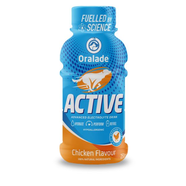 Picture of Oralade Active 250ml Chicken