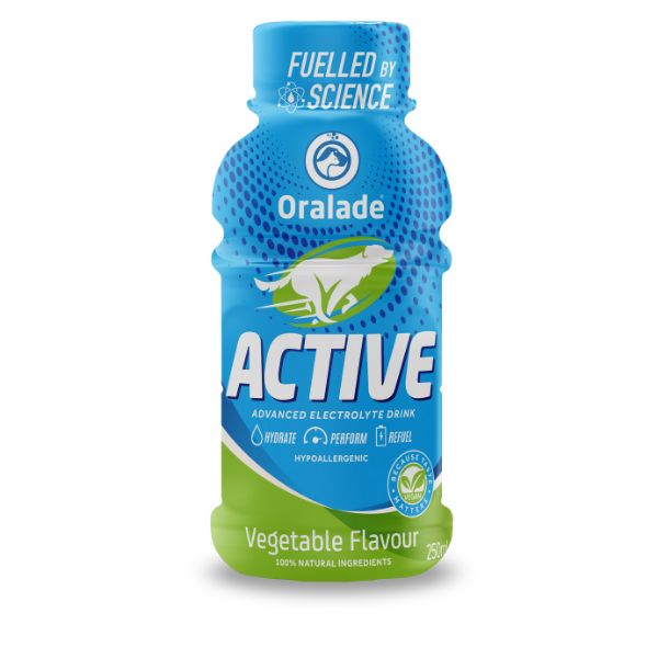 Picture of Oralade Active 250ml Vegetable