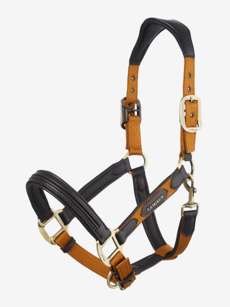 Picture of Le Mieux Capella Headcollar Ginger