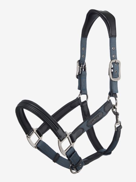 Picture of Le Mieux Capella Headcollar Petrol