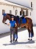 Picture of Le Mieux Dressage Square Suede Benetton Blue Large