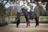 Picture of Le Mieux Suede Dressage Square Cinder L