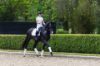 Picture of Le Mieux Dressage Suede Square White Large