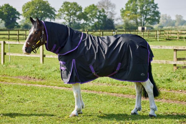 Picture of Burwood Zero Fill Detachable Neck Turnout Rug Black/Purple 