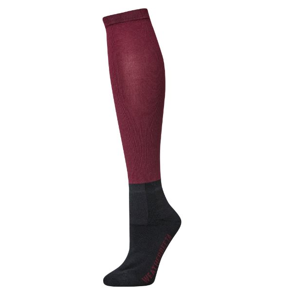 Picture of Weatherbeeta Adult Prime Stocking Socks Maroon