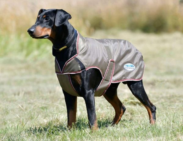 Picture of Weatherbeeta Comfitec Windbreaker Free Deluxe Dog Coat Olive Green/Burgundy/White