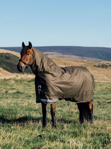 Picture of Le Mieux Arika Ripstop 200g Turnout Rug Alpine