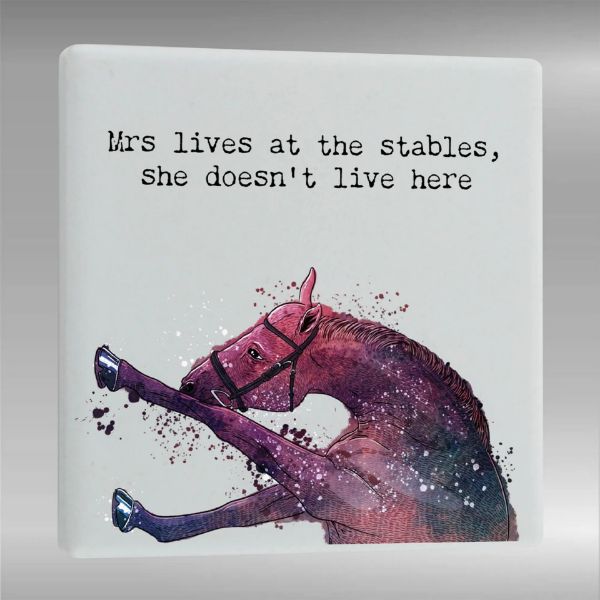 Picture of Vivid Squid Having A Mare Square Ceramic Magnet Lives At The Stables