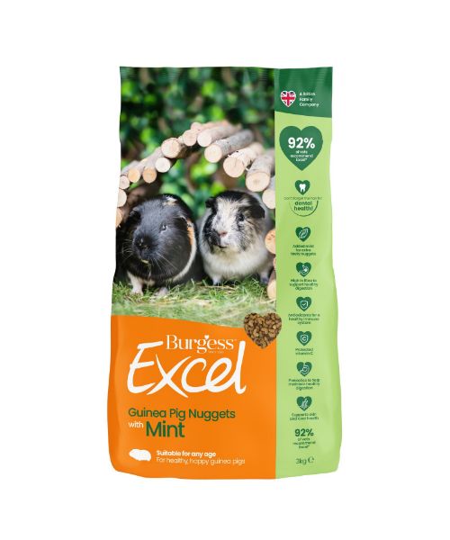 Picture of Burgess Guinea Pig - Excel Nuggets With Mint 3kg