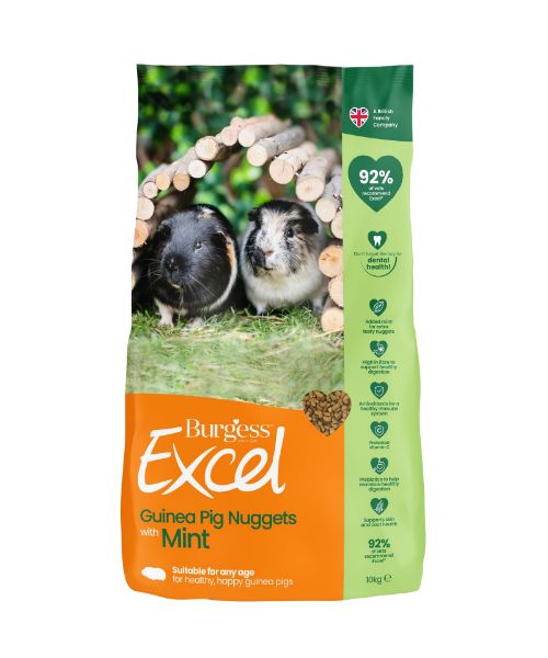 Picture of Burgess Guinea Pig - Excel Nuggets With Mint 10kg