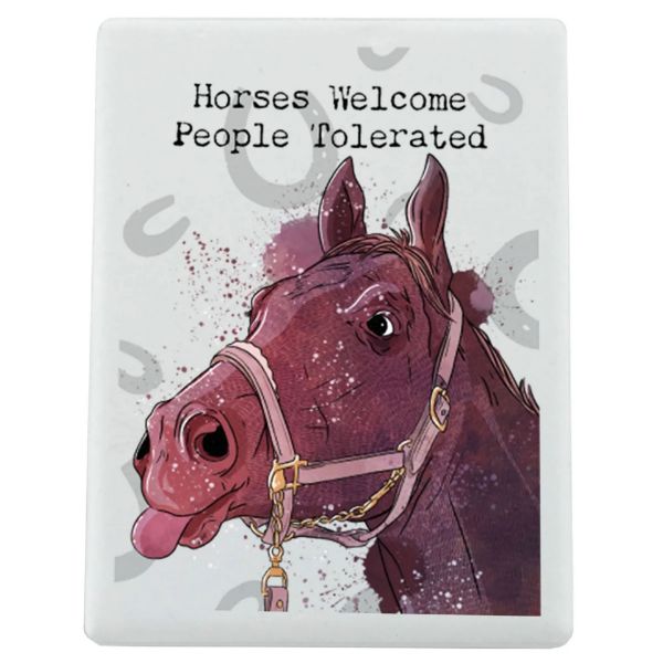 Picture of Vivid Squid Horsing Around Rectangle Ceramic Magnet - Horses Welcome