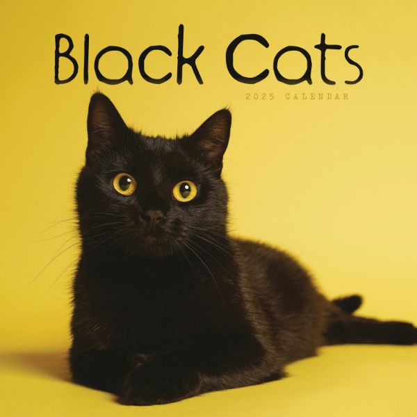 Picture of Black Cats Wall Calendar 2025