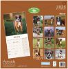 Picture of Boxer Wall Calendar 2025