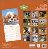 Picture of Cavalier King Charles Spaniel Wall Calendar 2025