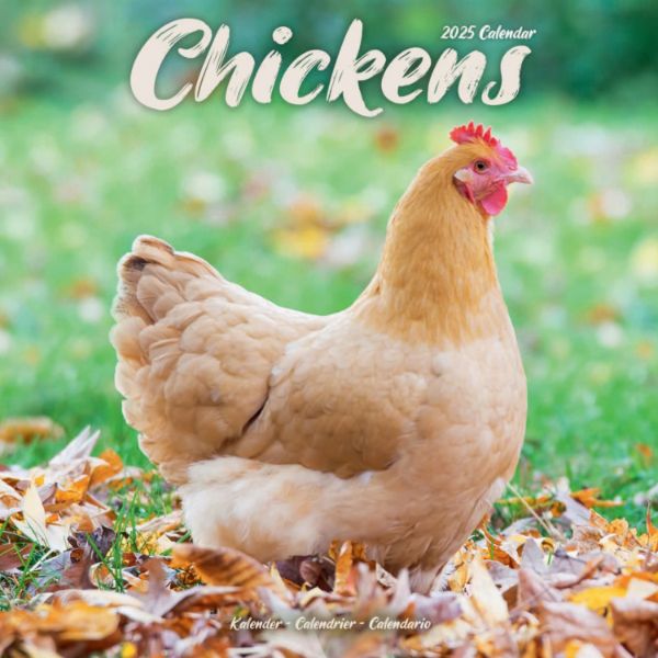 Picture of Chickens Wall Calendar 2025