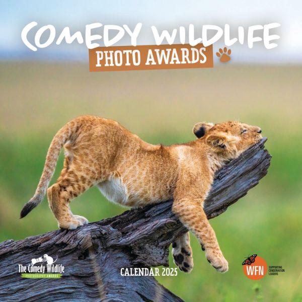 Picture of Comedy Wildlife Photography Awards Wall Calendar 2025