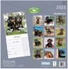 Picture of Dachshund Wall Calendar 2025