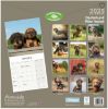 Picture of Dachshund Wirehaired Wall Calendar 2025