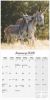 Picture of Donkeys Wall Calendar 2025