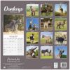 Picture of Donkeys Wall Calendar 2025