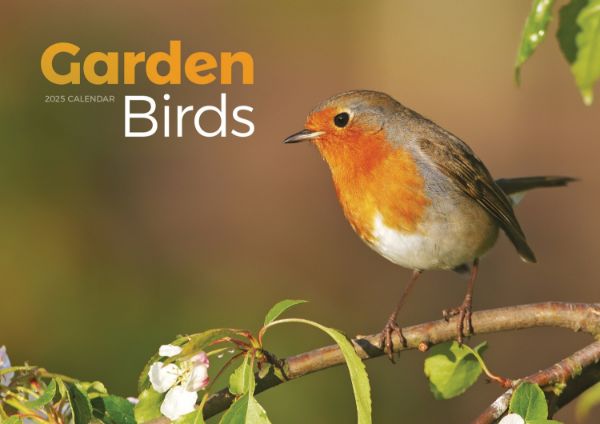 Picture of Garden Birds A4 Calendar 2025