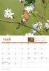 Picture of Garden Birds A4 Calendar 2025