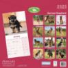 Picture of German Shepherds Wall Calendar 2025