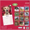 Picture of Great Dane Wall Calendar 2025