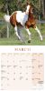 Picture of Horses Mini Wall Calendar 2025