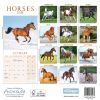 Picture of Horses Mini Wall Calendar 2025