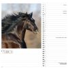 Picture of Horses Wiro Wall Calendar 2025