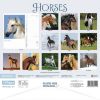 Picture of Horses Wiro Wall Calendar 2025