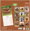 Picture of Irish Setter Wall Calendar 2025